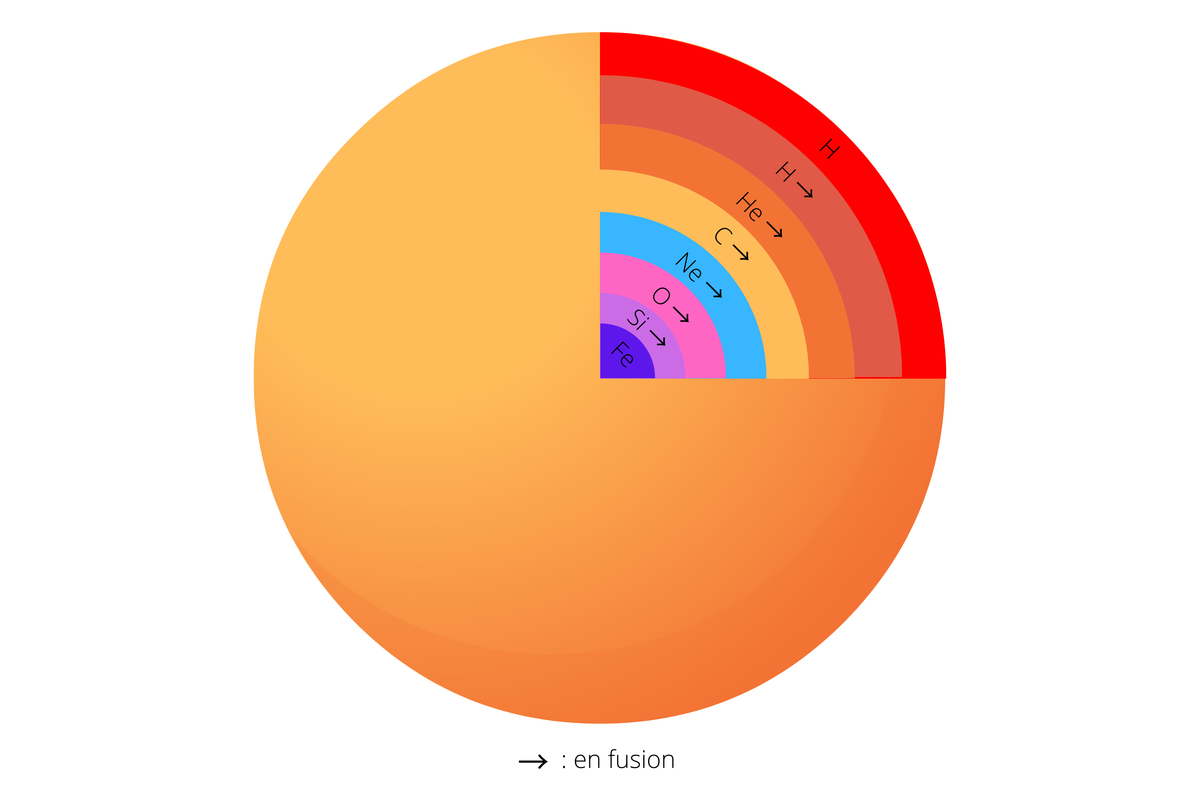 etoile-de-structure-pelure-doignon.png