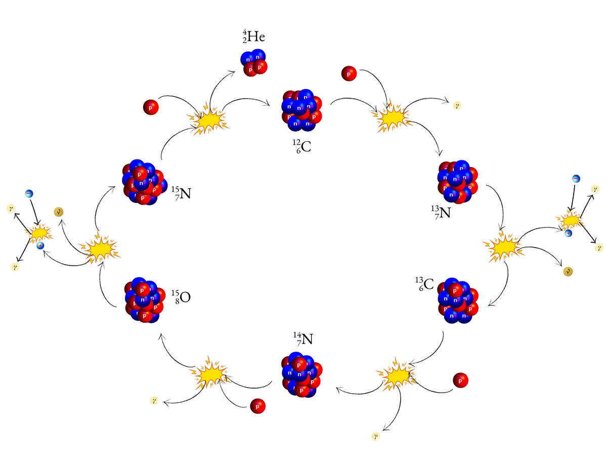 schema-cycle-cno.png